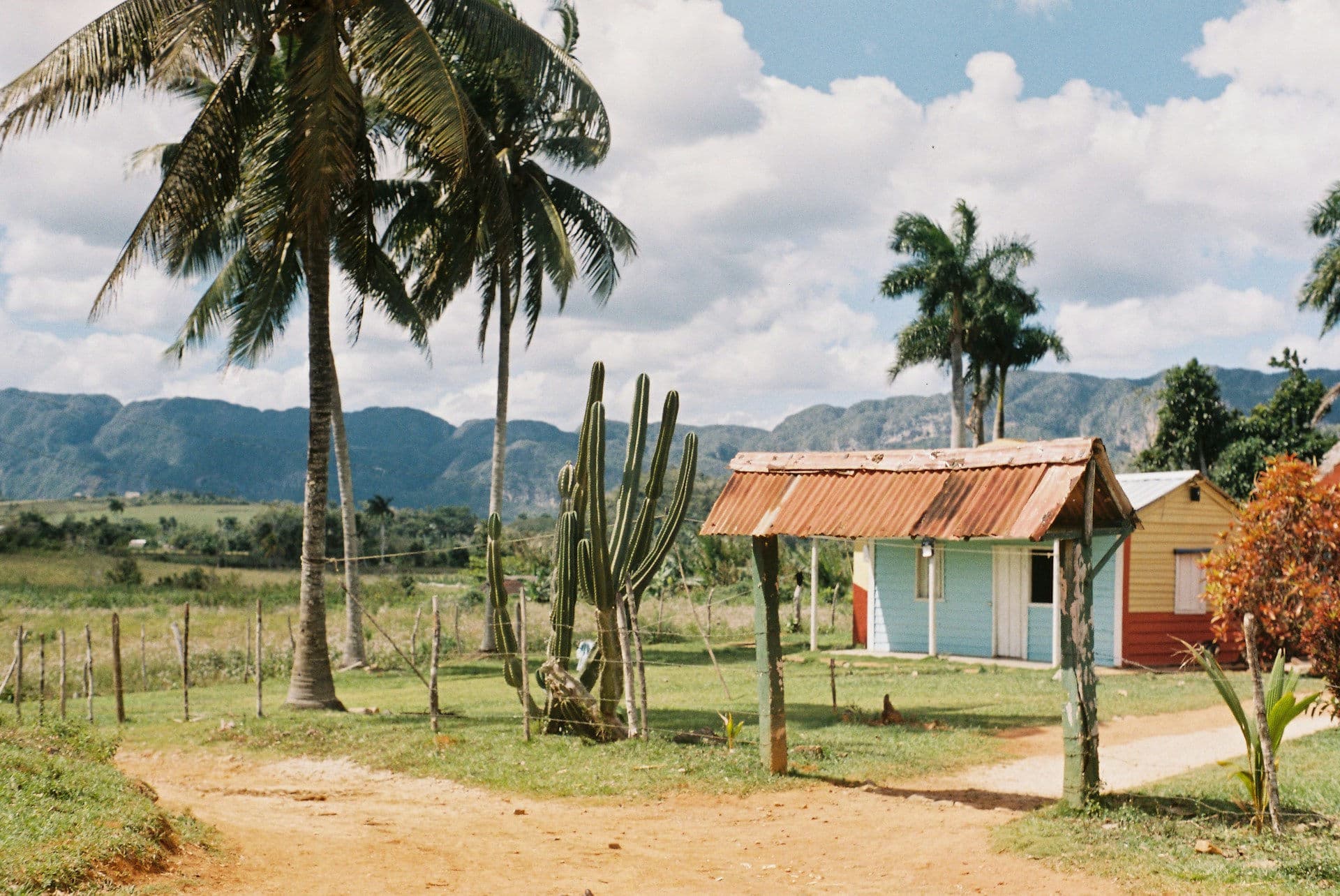 Viñales Valley hills at dawn with lush tropical foliage