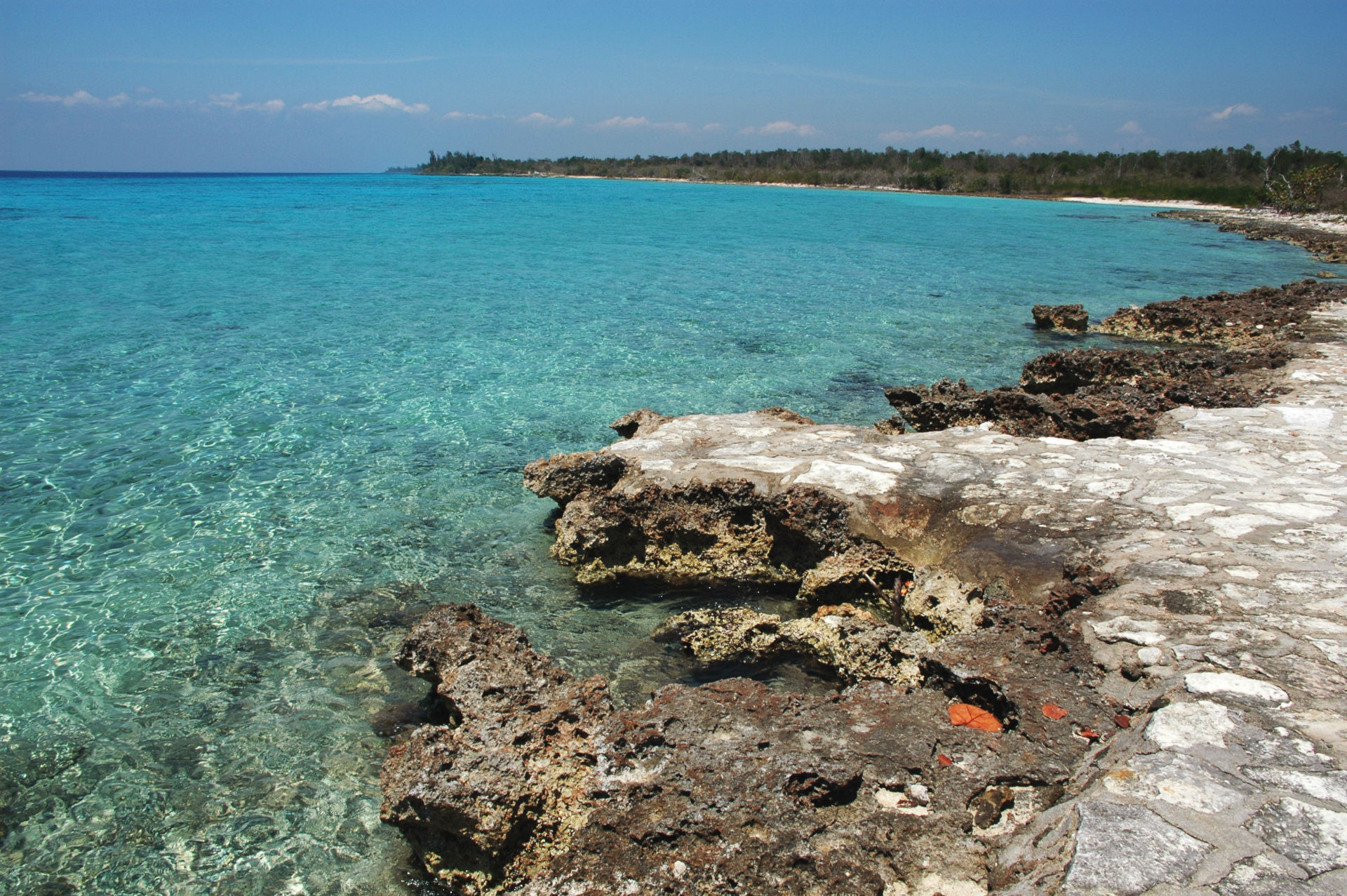 Bay of Pigs Adventure